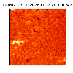 gong - 2026-01-23T03:00:42