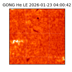 gong - 2026-01-23T04:00:42