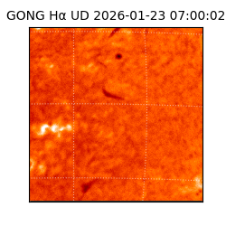 gong - 2026-01-23T07:00:02