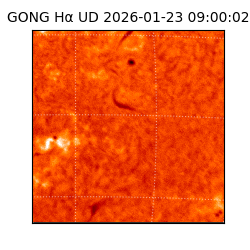 gong - 2026-01-23T09:00:02