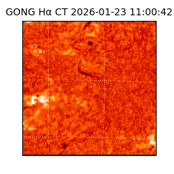 gong - 2026-01-23T11:00:42