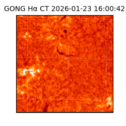 gong - 2026-01-23T16:00:42