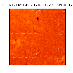 gong - 2026-01-23T19:00:02