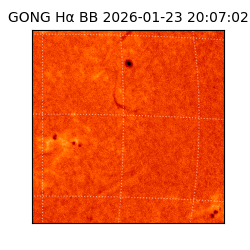 gong - 2026-01-23T20:07:02