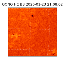 gong - 2026-01-23T21:08:02