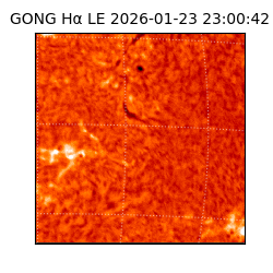 gong - 2026-01-23T23:00:42