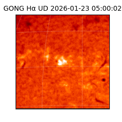 gong - 2026-01-23T05:00:02