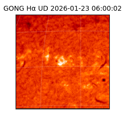gong - 2026-01-23T06:00:02