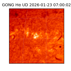gong - 2026-01-23T07:00:02