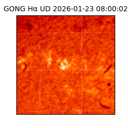 gong - 2026-01-23T08:00:02
