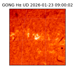 gong - 2026-01-23T09:00:02