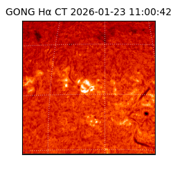 gong - 2026-01-23T11:00:42