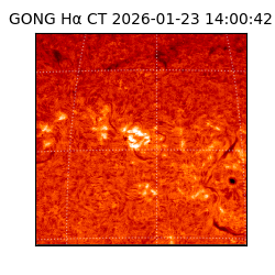 gong - 2026-01-23T14:00:42