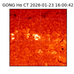 gong - 2026-01-23T16:00:42