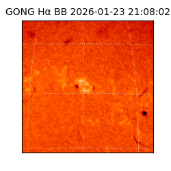 gong - 2026-01-23T21:08:02