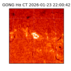 gong - 2026-01-23T22:00:42