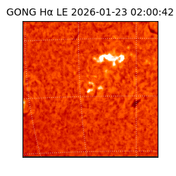 gong - 2026-01-23T02:00:42