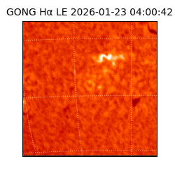 gong - 2026-01-23T04:00:42