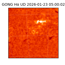 gong - 2026-01-23T05:00:02