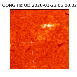 gong - 2026-01-23T06:00:02