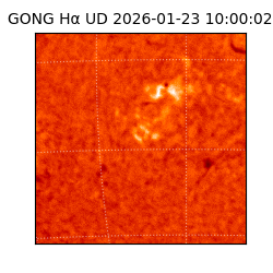 gong - 2026-01-23T10:00:02