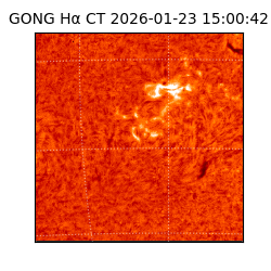 gong - 2026-01-23T15:00:42
