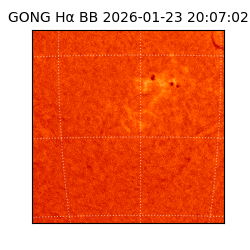 gong - 2026-01-23T20:07:02