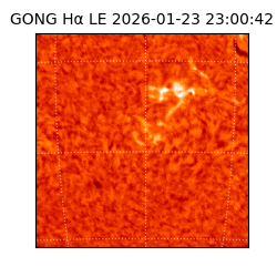 gong - 2026-01-23T23:00:42
