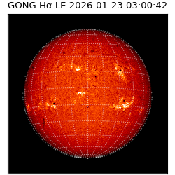 gong - 2026-01-23T03:00:42