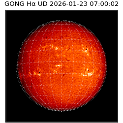 gong - 2026-01-23T07:00:02