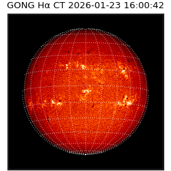 gong - 2026-01-23T16:00:42
