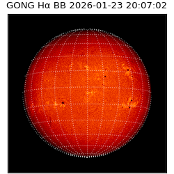 gong - 2026-01-23T20:07:02