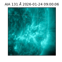 saia - 2026-01-24T09:00:06.622000