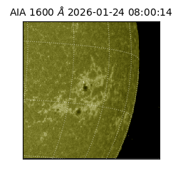 saia - 2026-01-24T08:00:14.126000