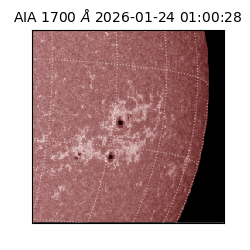 saia - 2026-01-24T01:00:28.718000