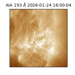 saia - 2026-01-24T16:00:04.843000