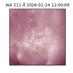 saia - 2026-01-24T12:00:09.630000