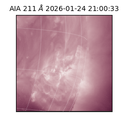 saia - 2026-01-24T21:00:33.626000