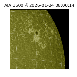 saia - 2026-01-24T08:00:14.126000