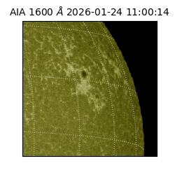 saia - 2026-01-24T11:00:14.125000