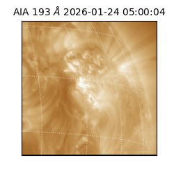 saia - 2026-01-24T05:00:04.843000