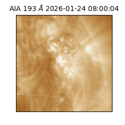 saia - 2026-01-24T08:00:04.843000