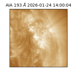 saia - 2026-01-24T14:00:04.843000