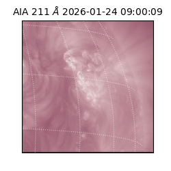 saia - 2026-01-24T09:00:09.630000