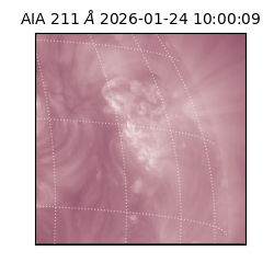 saia - 2026-01-24T10:00:09.626000