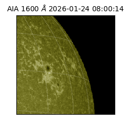 saia - 2026-01-24T08:00:14.126000