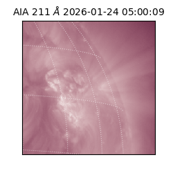 saia - 2026-01-24T05:00:09.623000