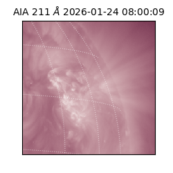 saia - 2026-01-24T08:00:09.633000