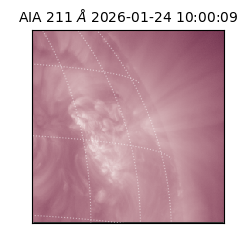 saia - 2026-01-24T10:00:09.626000
