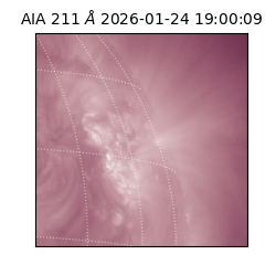 saia - 2026-01-24T19:00:09.634000